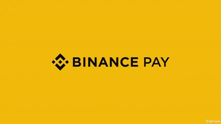 Binance Pay-logo